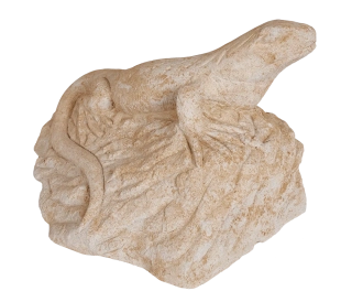 Ještěrka na skále 31kg