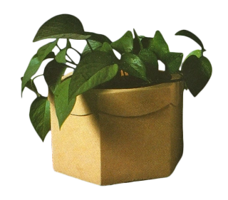 Květináč s hladkým povrchem